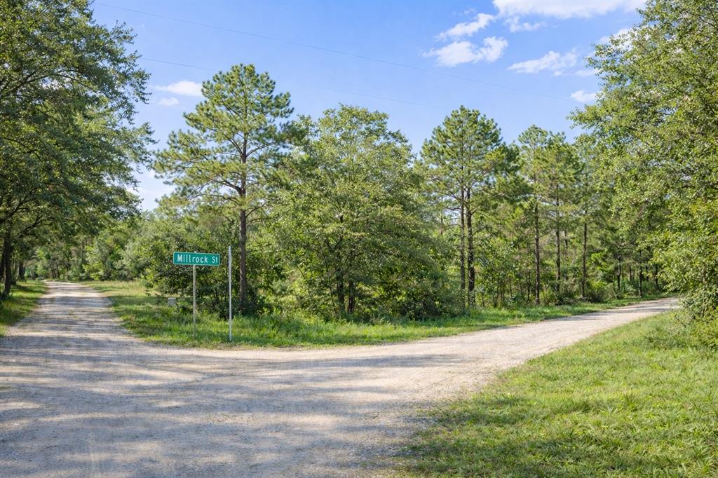 0 Millrock Street Webster, FL 33597 - Photo 3 of 3