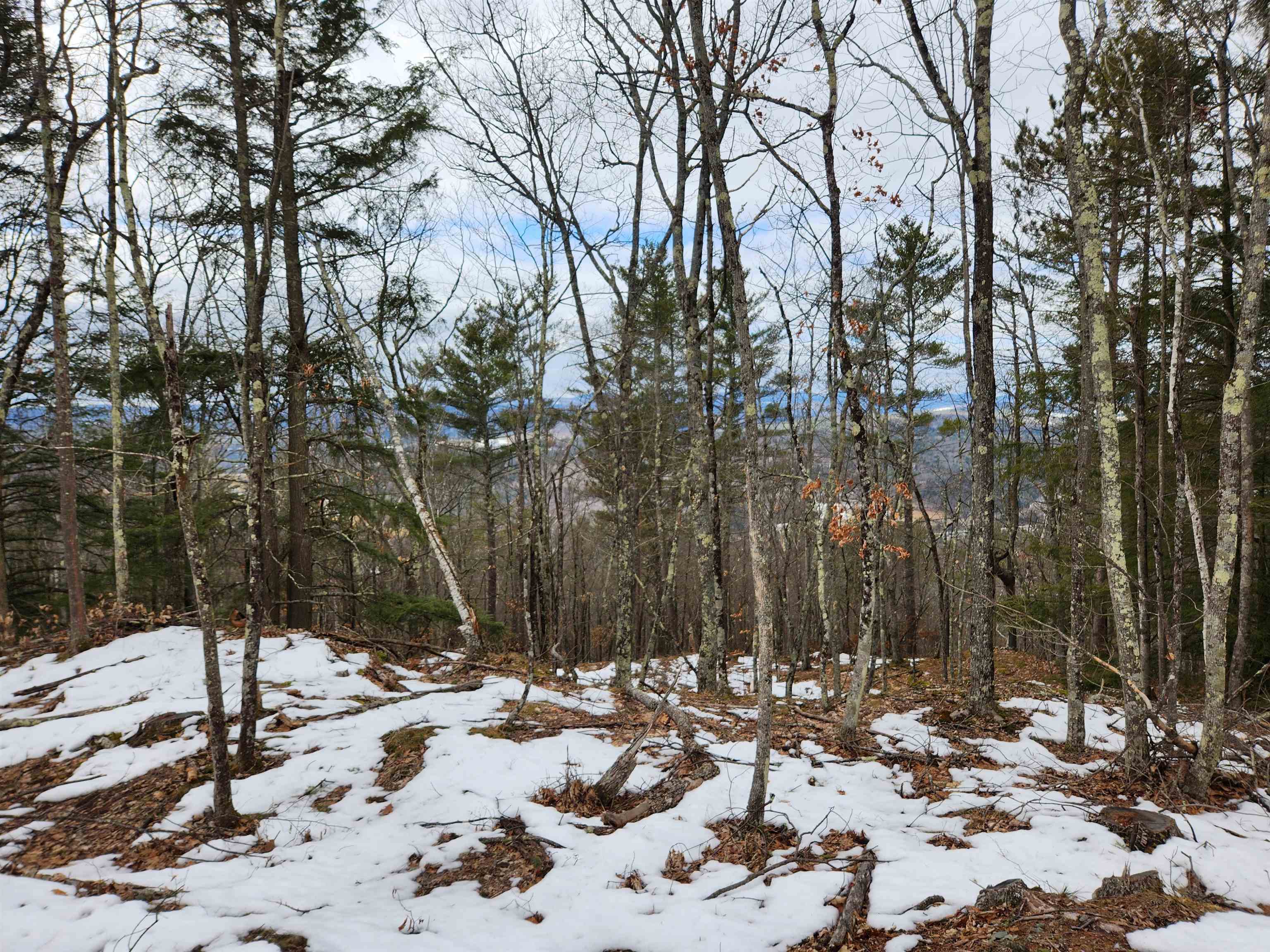 0 Monroe Road Bath, NH 03740 - Photo 14 of 36