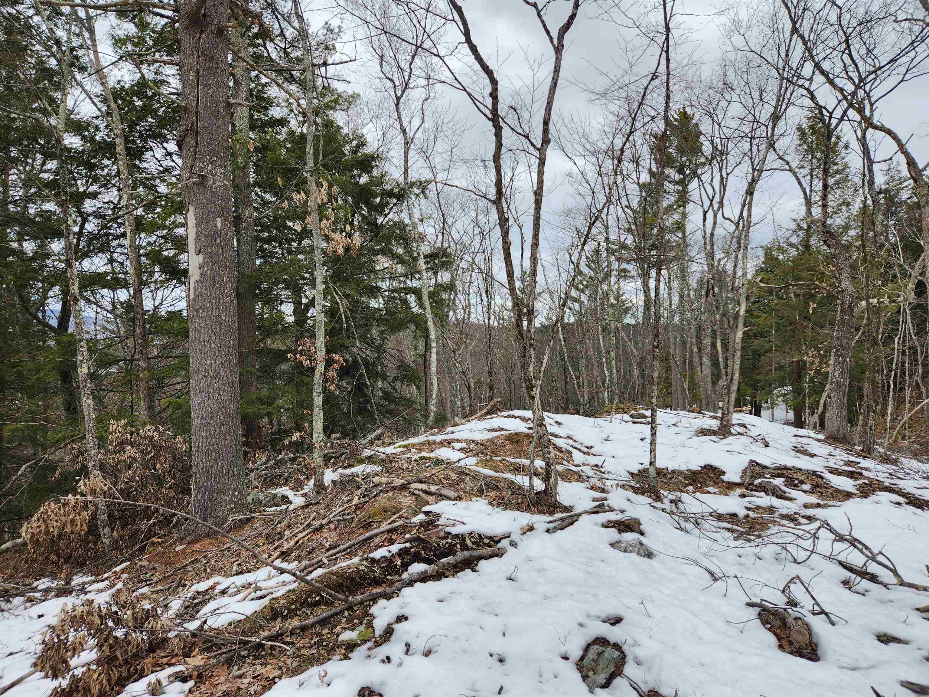 0 Monroe Road Bath, NH 03740 - Photo 15 of 36