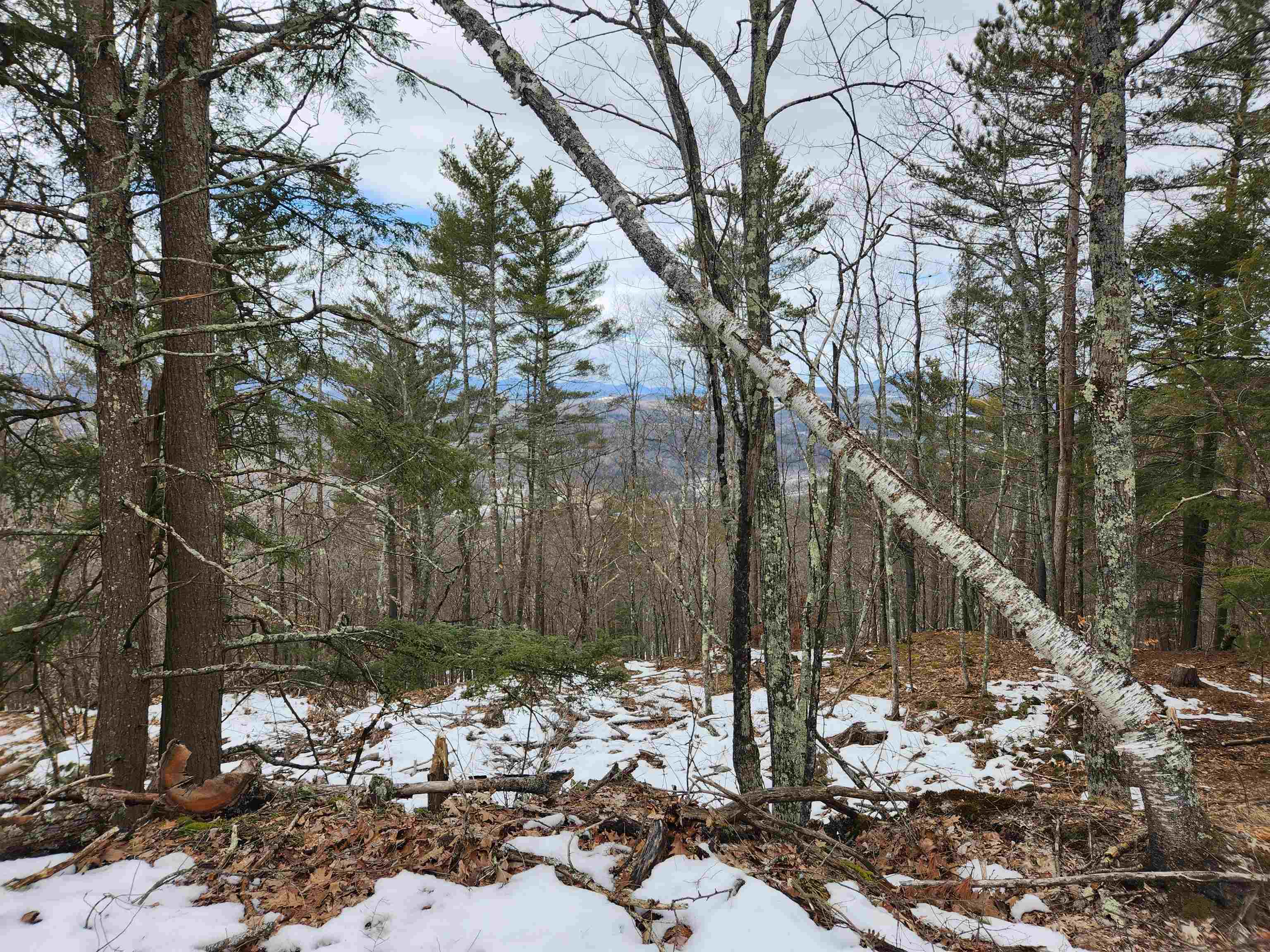 0 Monroe Road Bath, NH 03740 - Photo 16 of 36