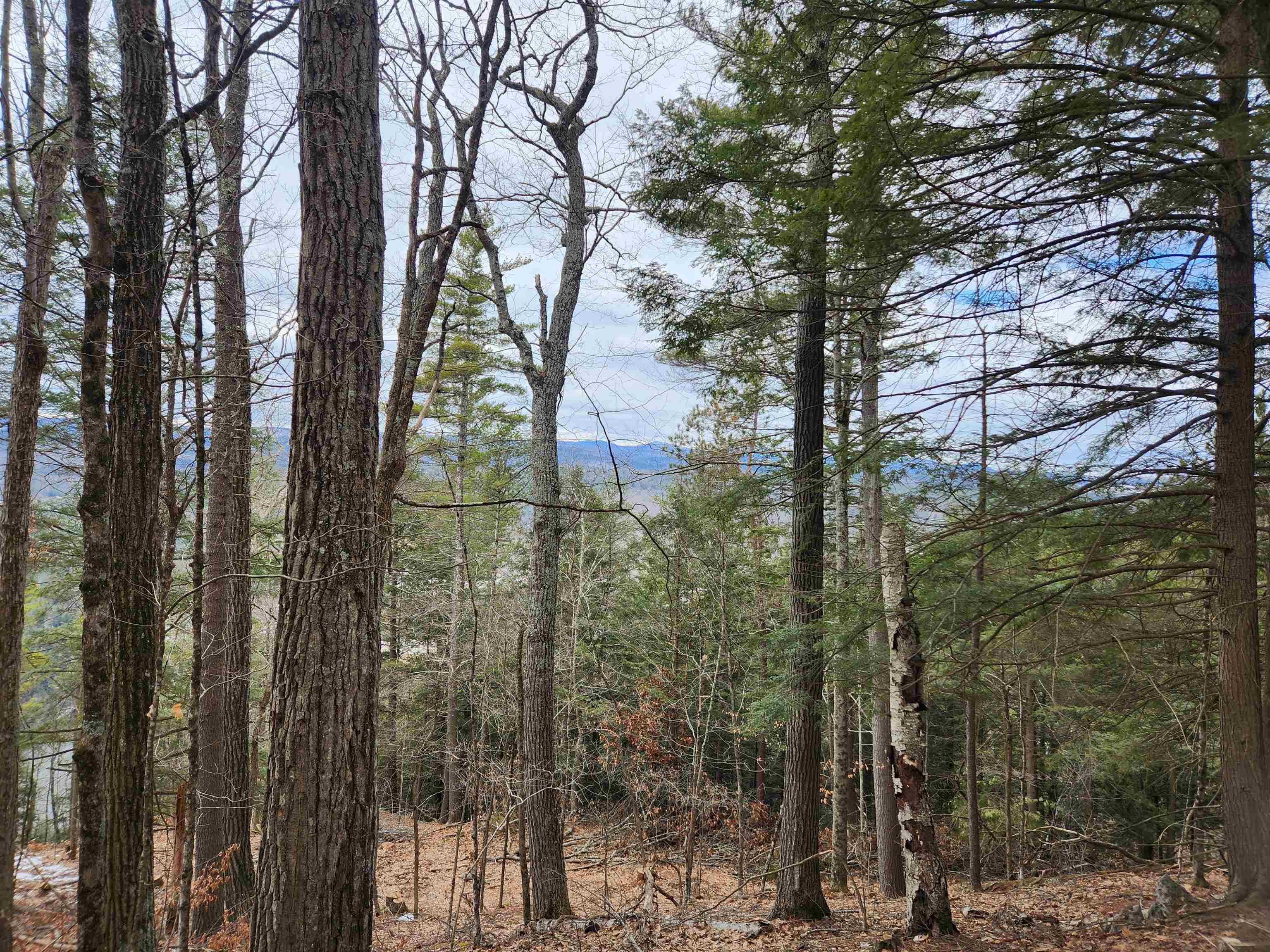 0 Monroe Road Bath, NH 03740 - Photo 17 of 36