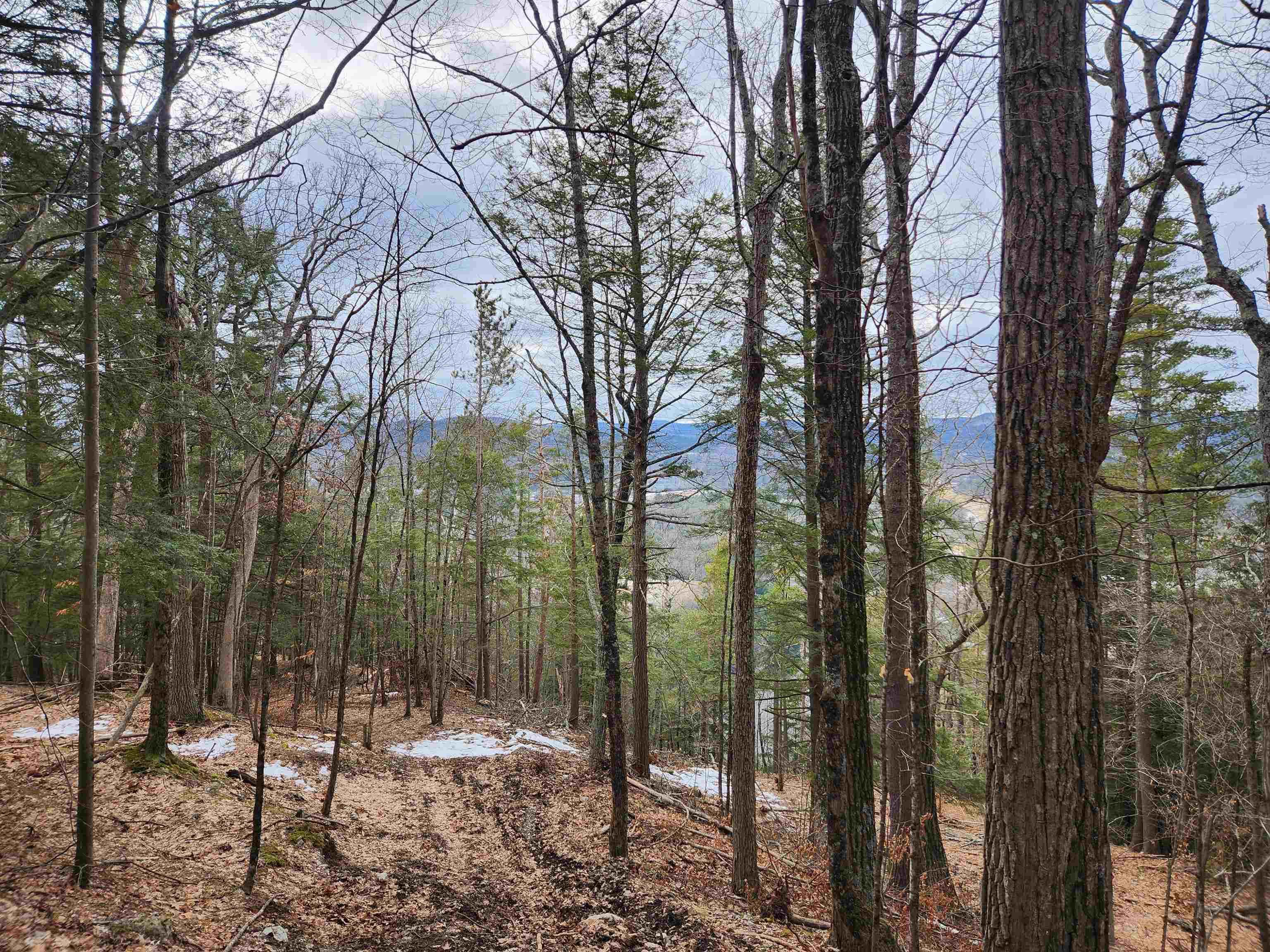 0 Monroe Road Bath, NH 03740 - Photo 18 of 36