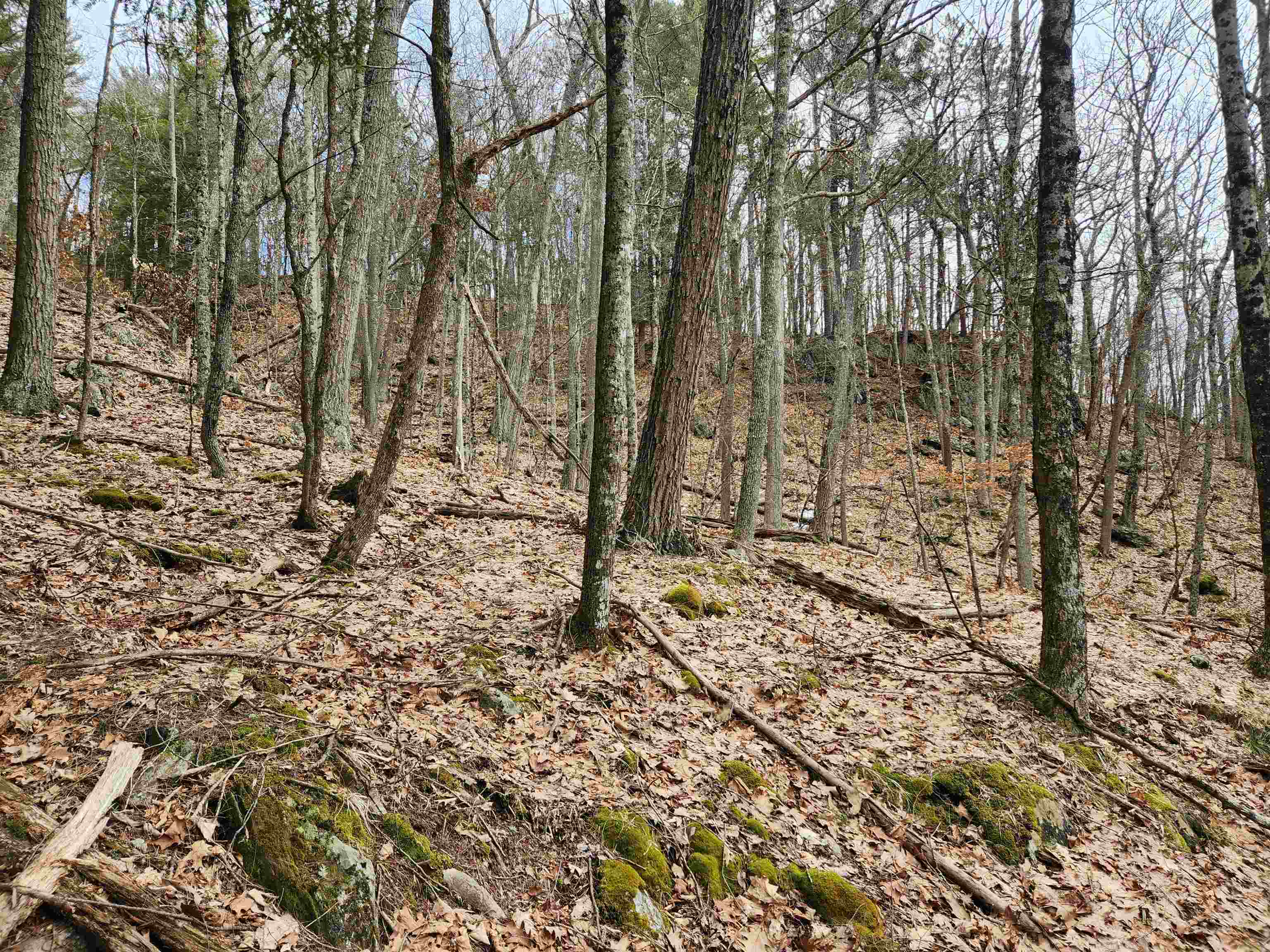 0 Monroe Road Bath, NH 03740 - Photo 20 of 36