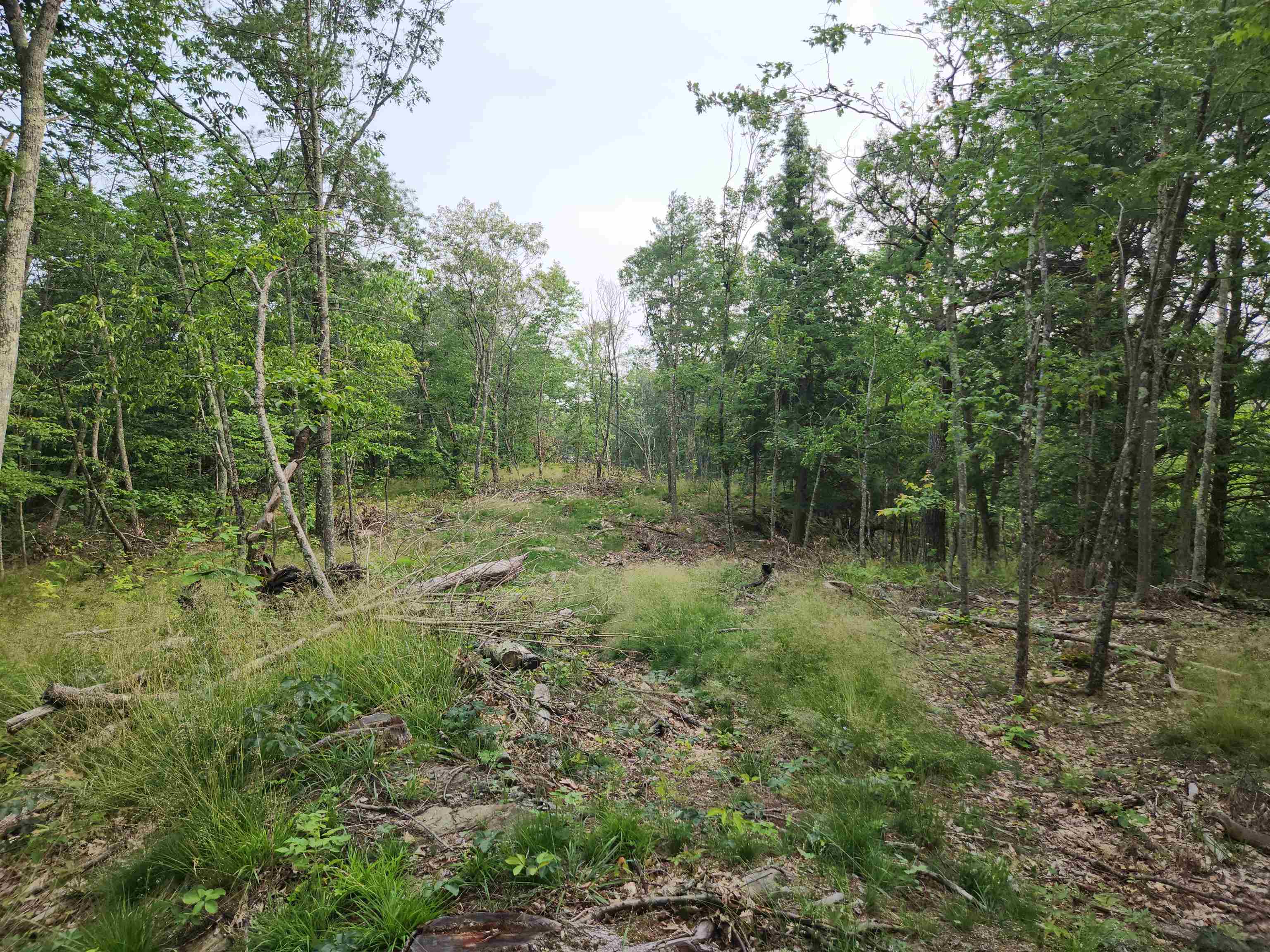 0 Monroe Road Bath, NH 03740 - Photo 2 of 36