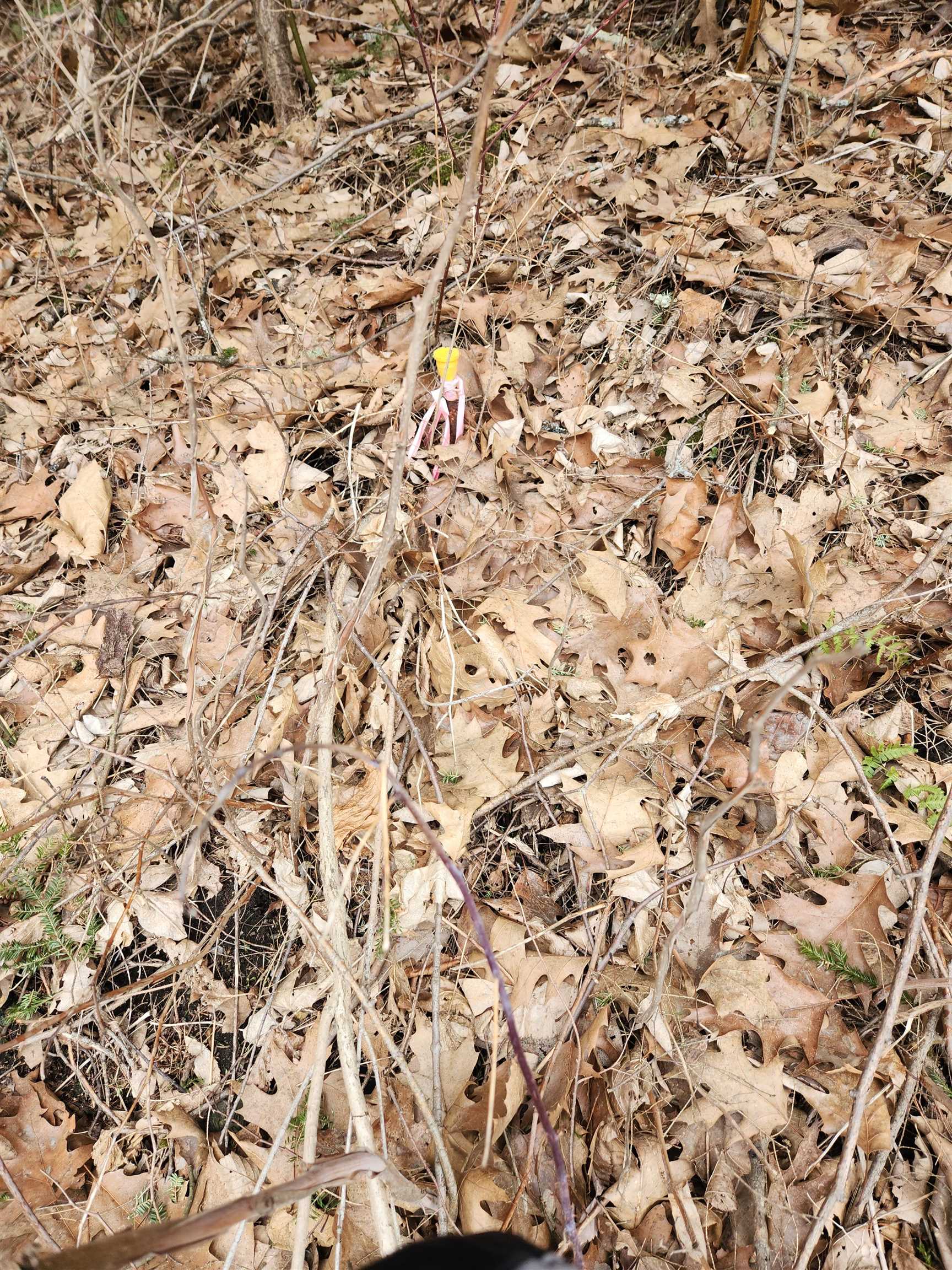 0 Monroe Road Bath, NH 03740 - Photo 21 of 36