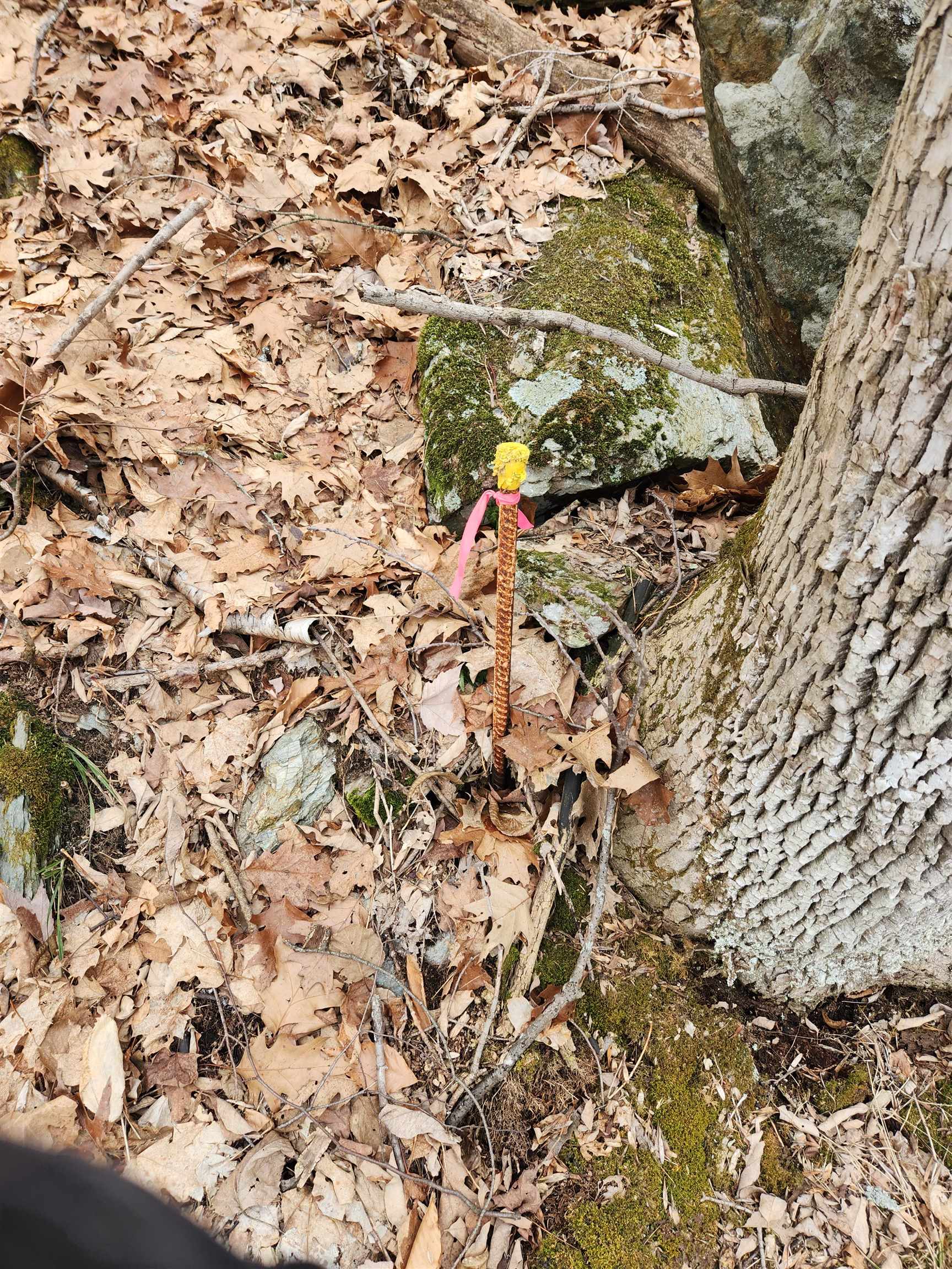 0 Monroe Road Bath, NH 03740 - Photo 22 of 36