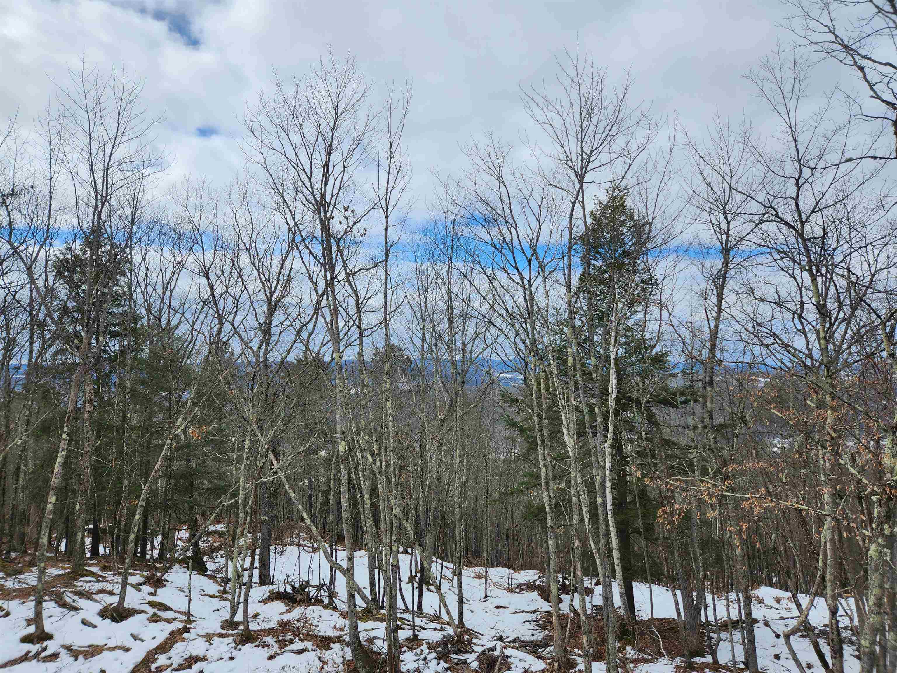 0 Monroe Road Bath, NH 03740 - Photo 23 of 36