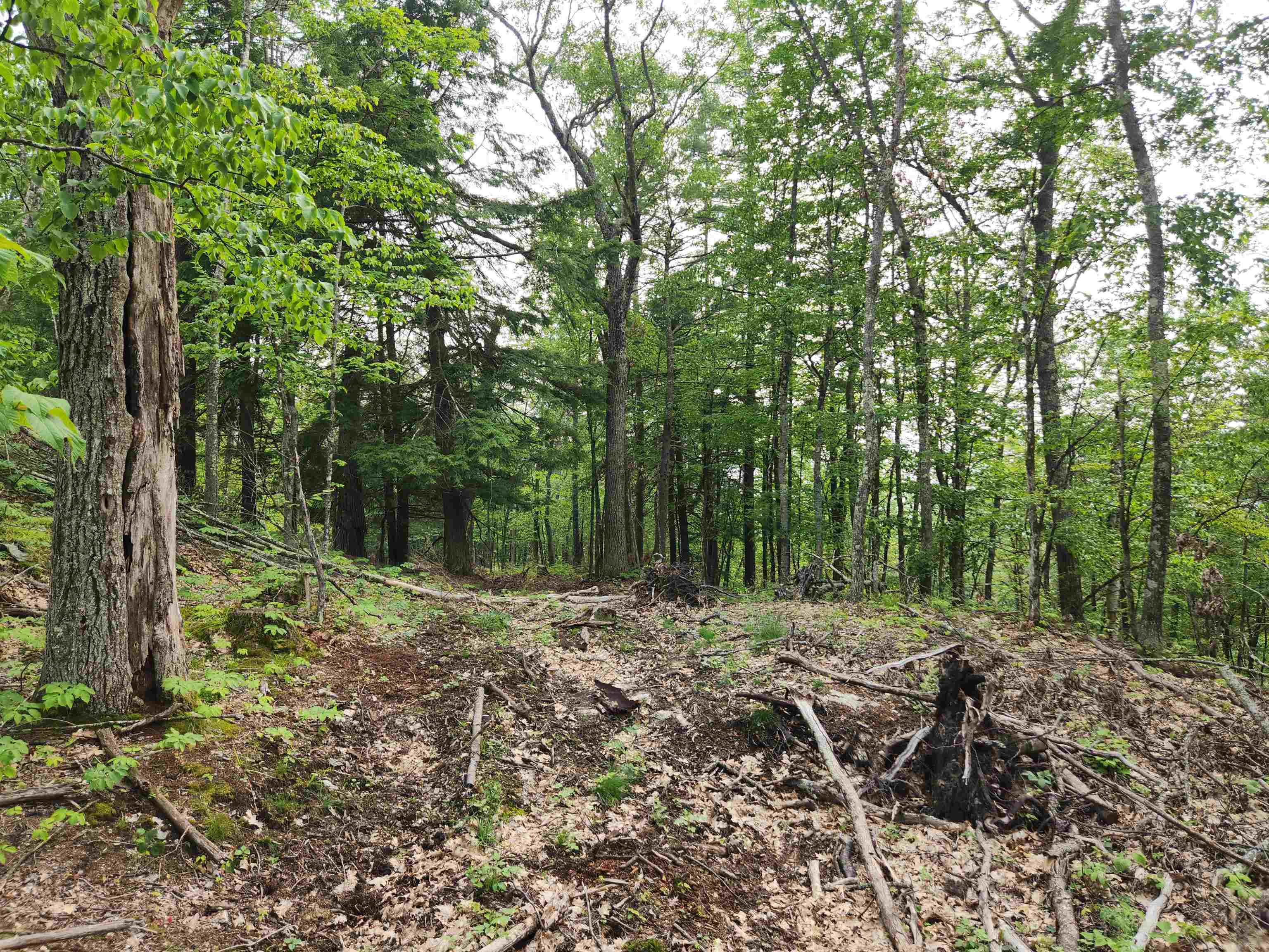 0 Monroe Road Bath, NH 03740 - Photo 25 of 36