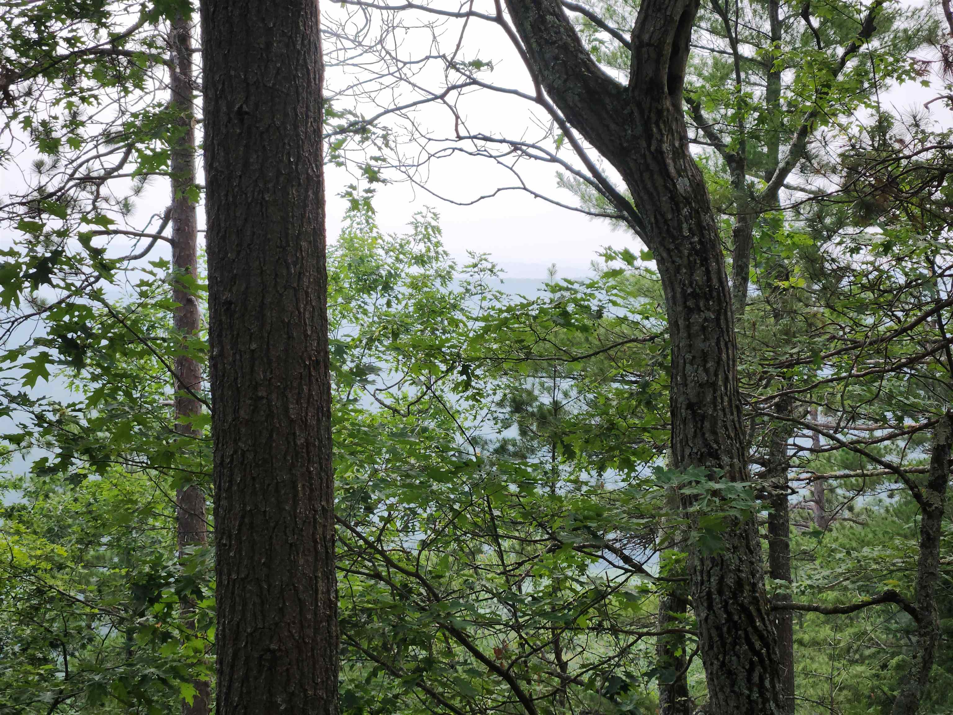 0 Monroe Road Bath, NH 03740 - Photo 27 of 36