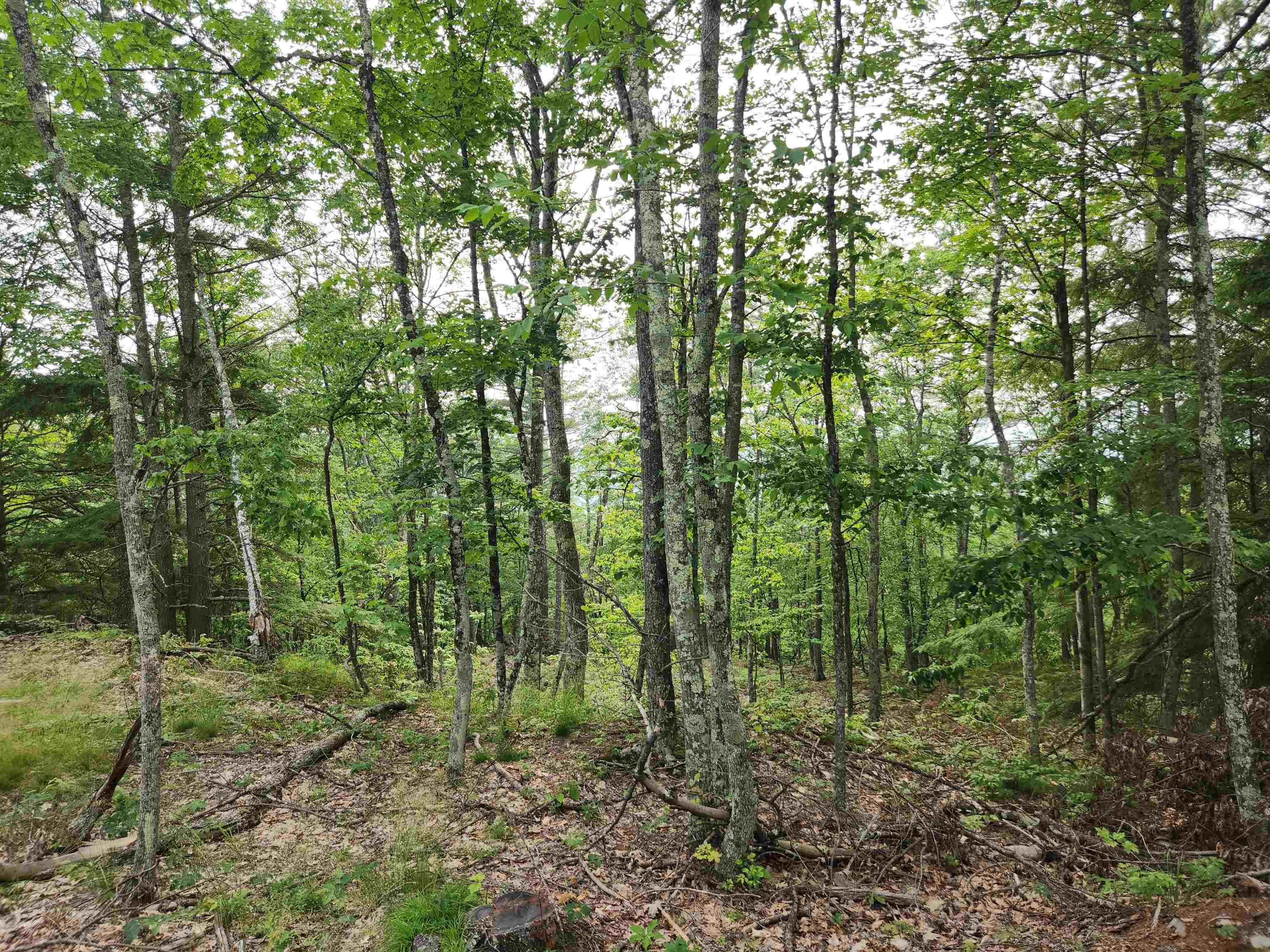 0 Monroe Road Bath, NH 03740 - Photo 3 of 36