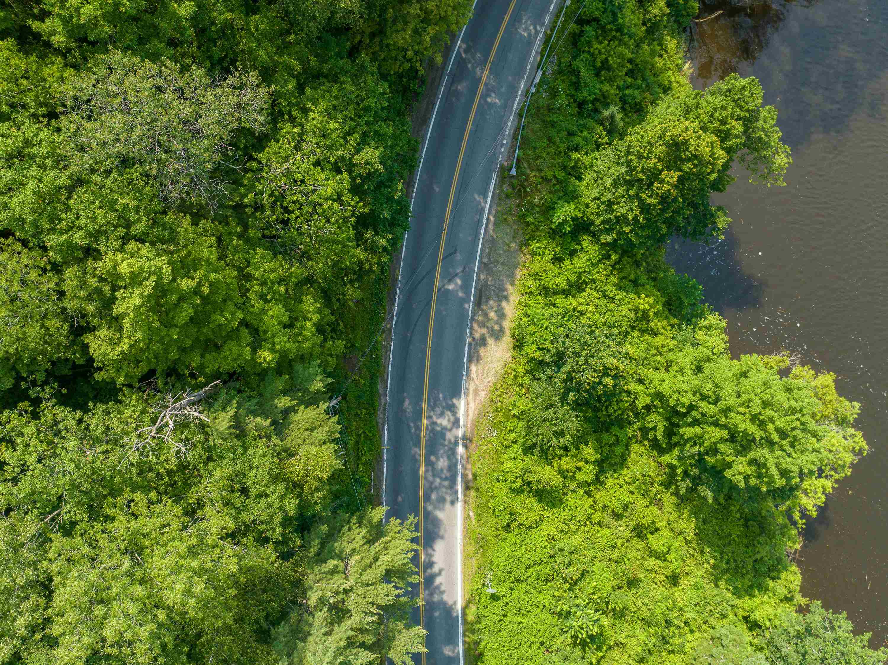 0 Monroe Road Bath, NH 03740 - Photo 10 of 36