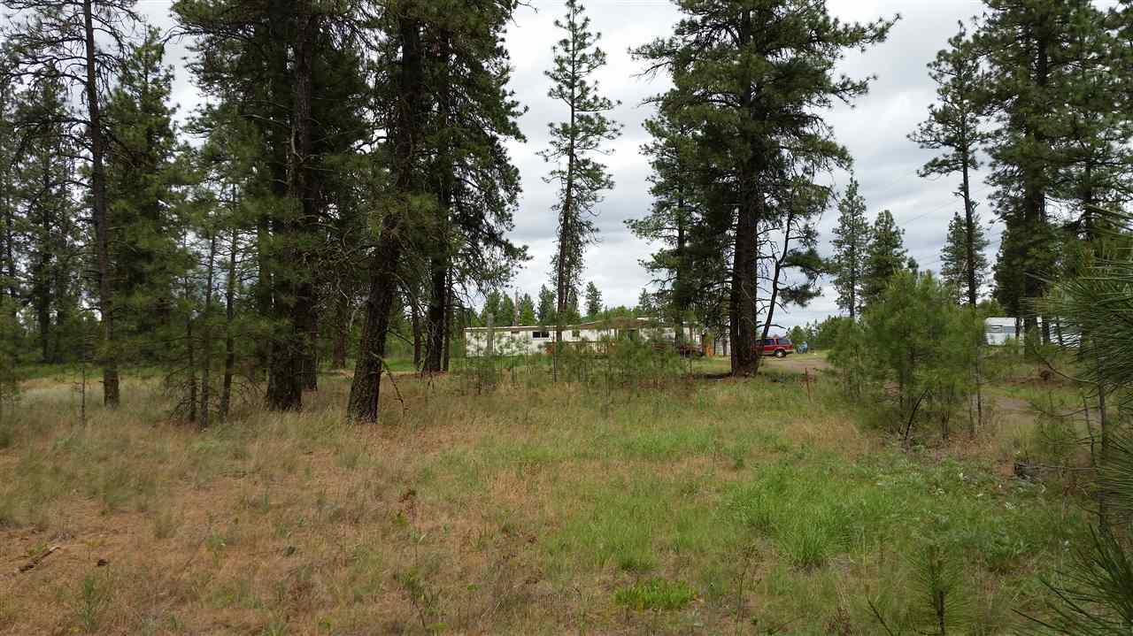 3308 West Anderson Road Cheney, WA 99004 - Photo 1 of 1