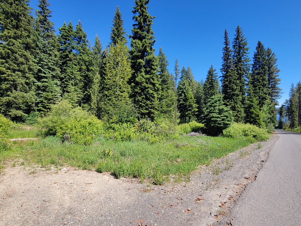 671 West Mountain Road Cascade, ID 83611 - Photo 3 of 11 On a paved road