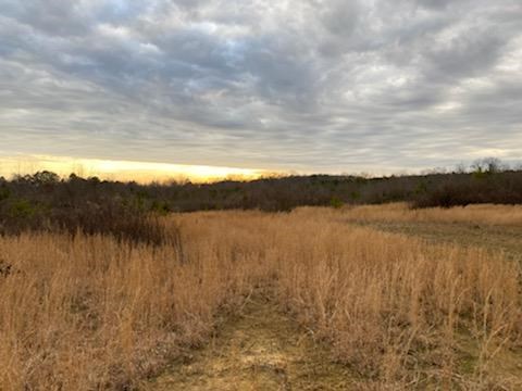 0 Sugar Creek Road Chatsworth, GA 30705 - Photo 7 of 8 Gallery Image 7
