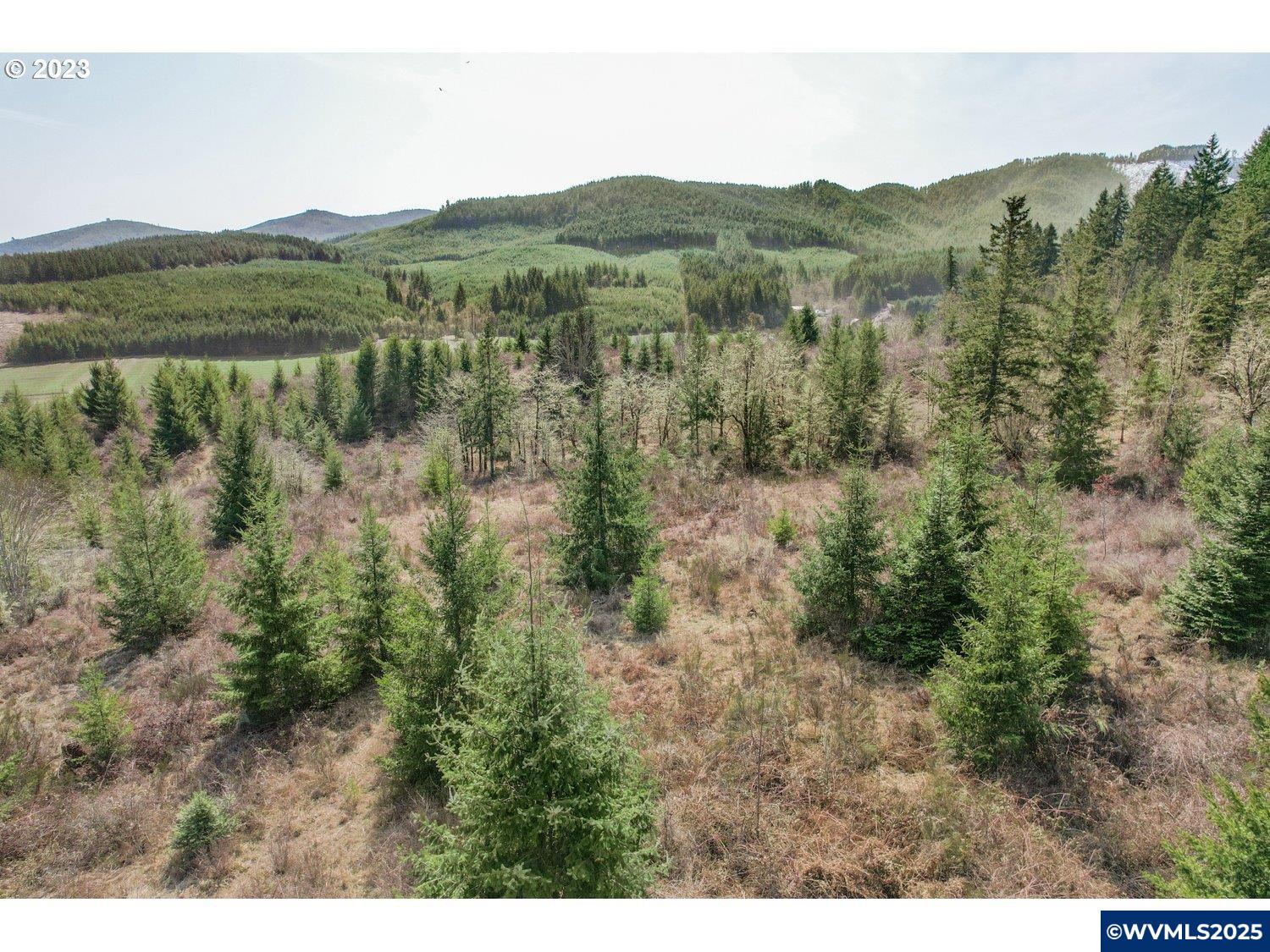 0 Gooseneck Road Sheridan, OR 97378 - Photo 28 of 39