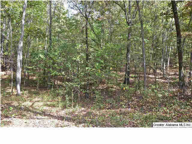 167 County Road 883 Montevallo, AL 35115 - Photo 4 of 32