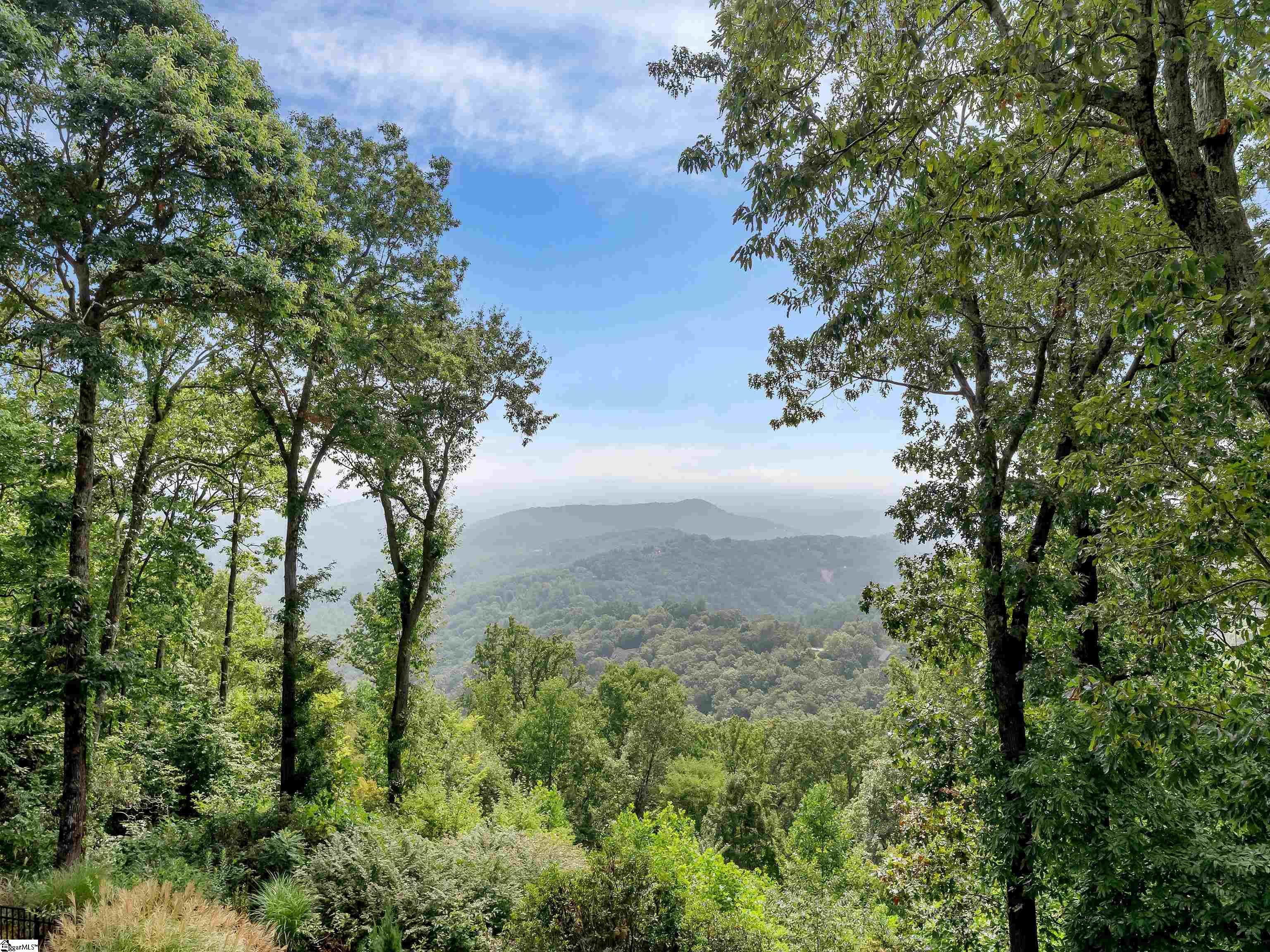 8 Moss Falls Lane Landrum, SC 29356 - Photo 2 of 49