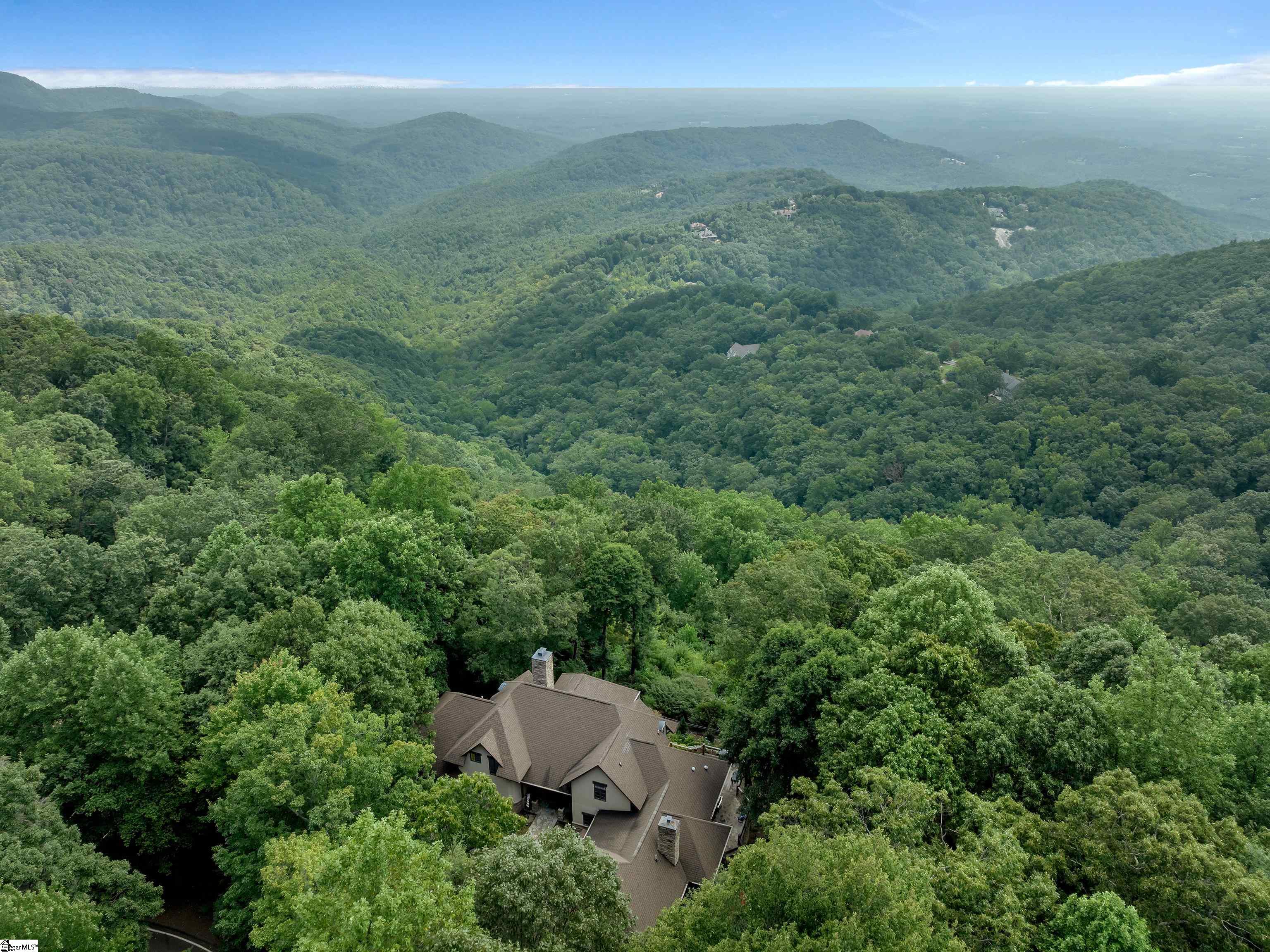 8 Moss Falls Lane Landrum, SC 29356 - Photo 44 of 49