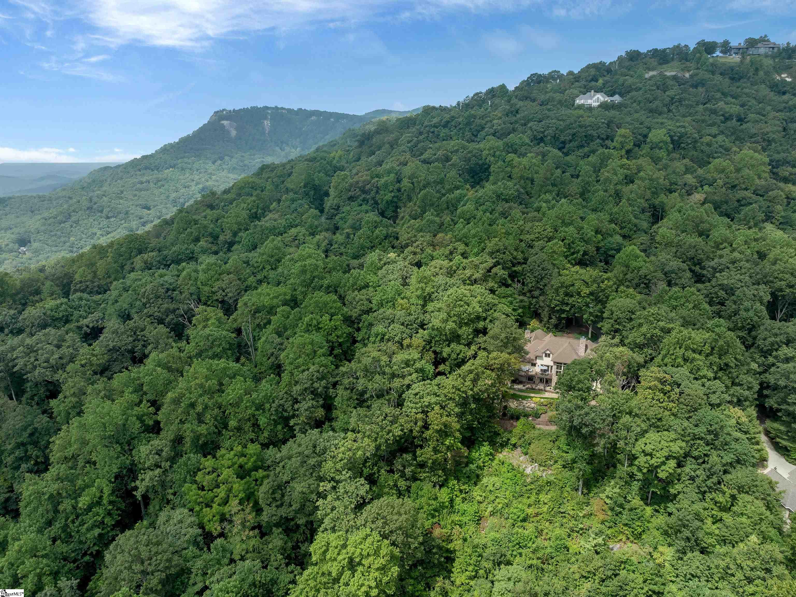 8 Moss Falls Lane Landrum, SC 29356 - Photo 45 of 49