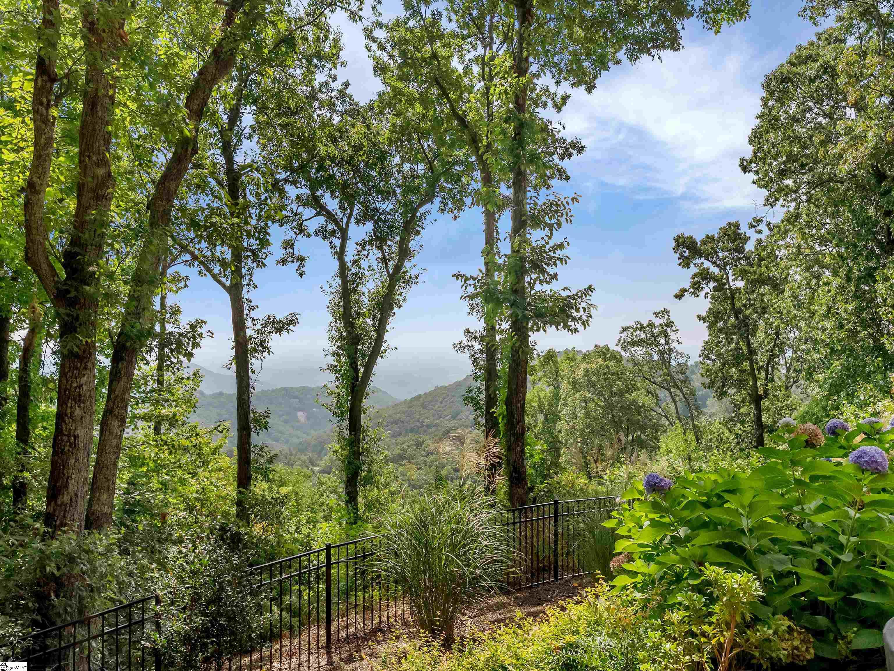 8 Moss Falls Lane Landrum, SC 29356 - Photo 48 of 49