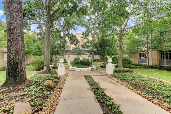 a view of a yard with plants and large trees