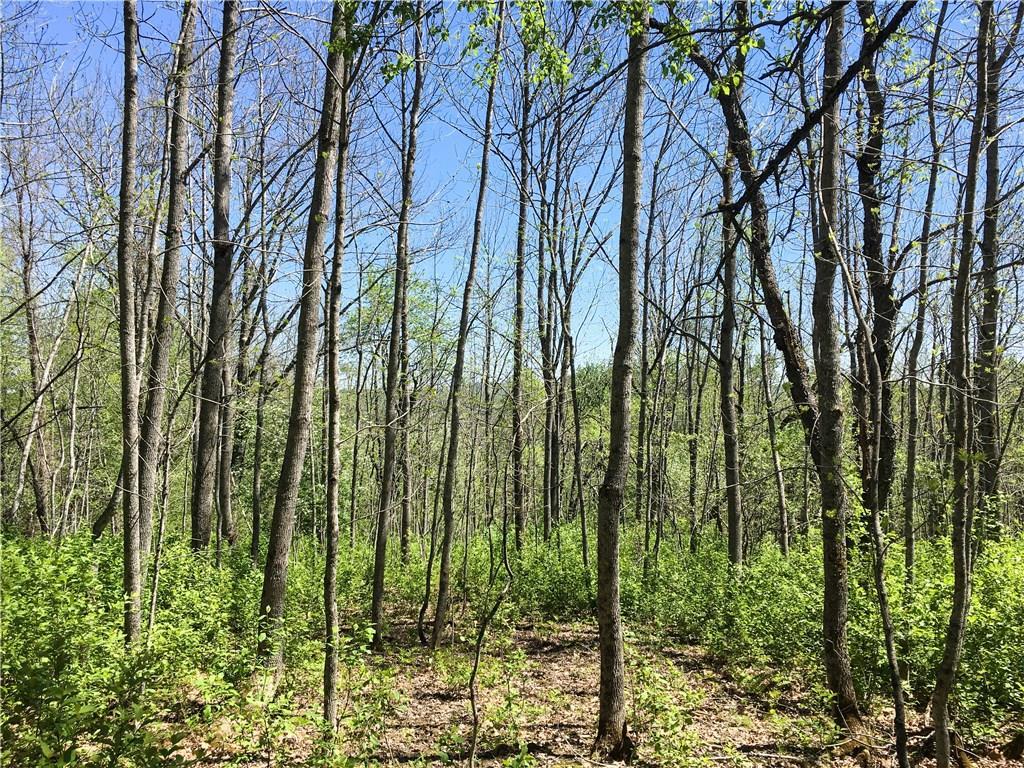 Lot 13 Richardson Road Orrington, ME 04474 - Photo 1 of 33 Over 10 acres of scattered hardwoods...