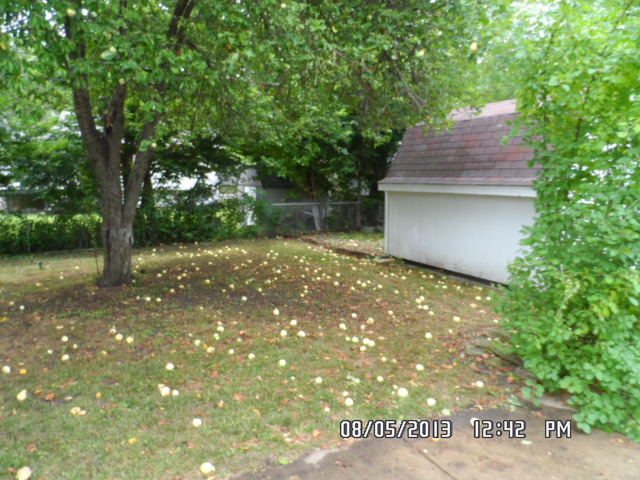 402 Garland Avenue Romeoville, IL 60446 - Photo 3 of 12 a backyard of a house with lots of green space