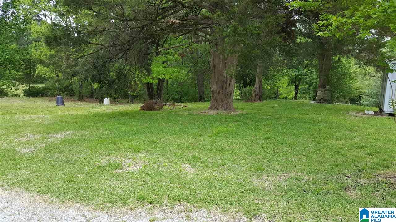 65 Magnolia Way Montevallo, AL 35115 - Photo 7 of 20