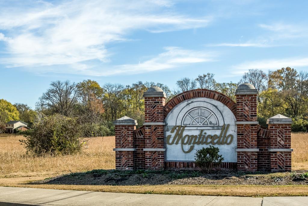 101 Monticello Road Franklin, TN 37069 - Photo 3 of 30 Gallery Image 3