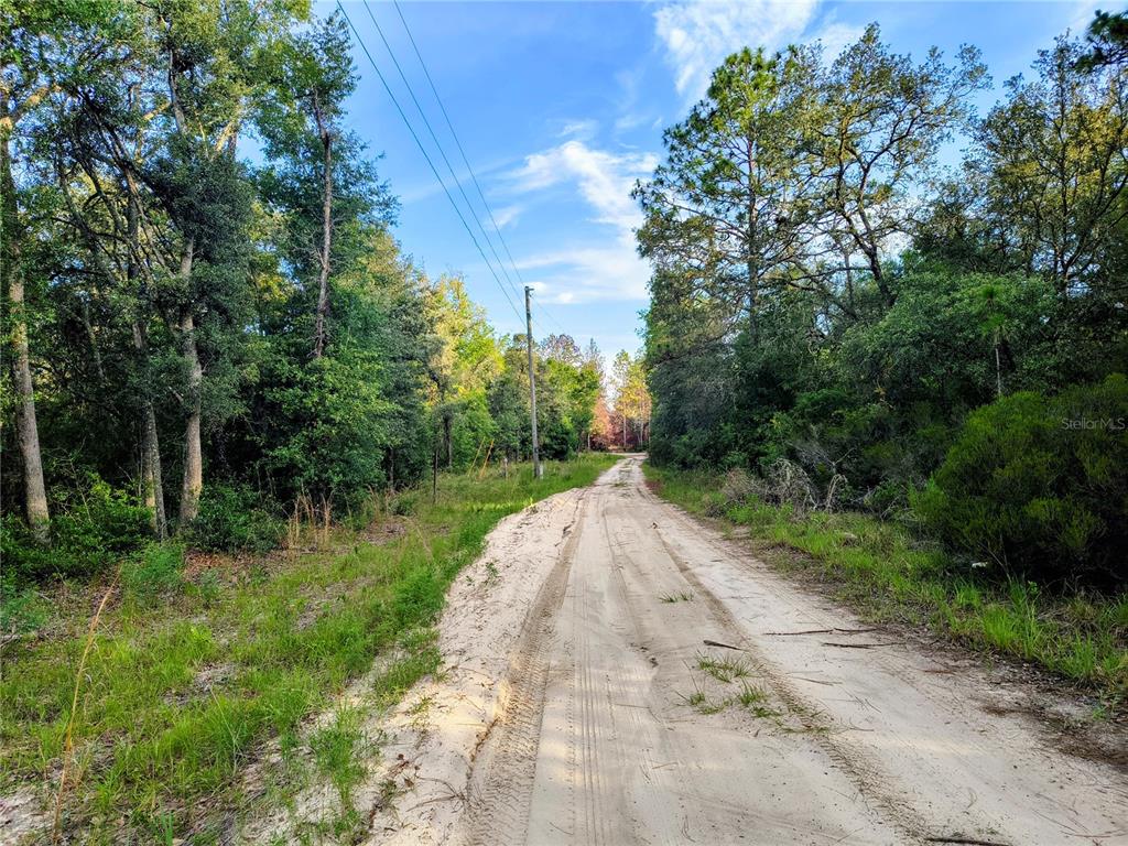 8821 Northeast 97th Court Bronson, FL 32621 - Photo 4 of 5