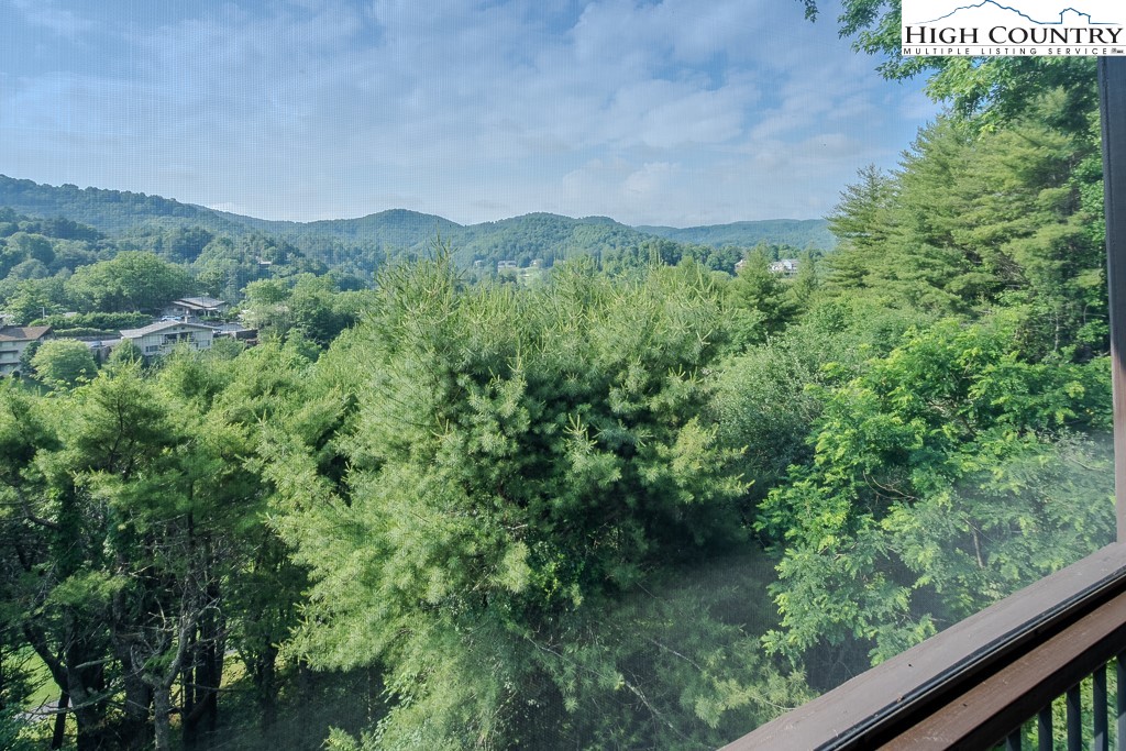 281 Beech Road Boone, NC 28607 - Photo 5 of 32 Gallery Image 5