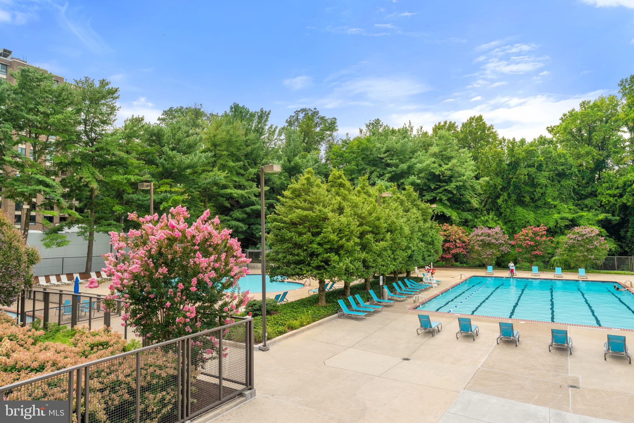 1800 Old Meadow Road, Unit 1218 McLean, VA 22102 - Photo 53 of 55 Pool Area