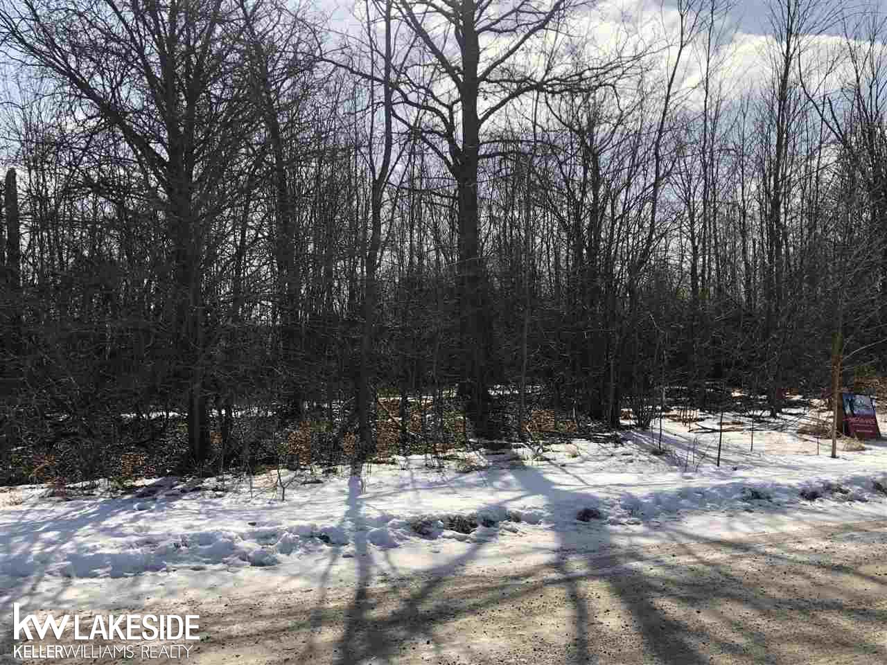 0 Dayton Road Richmond, MI 48062 - Photo 1 of 6 Gallery Image 1
