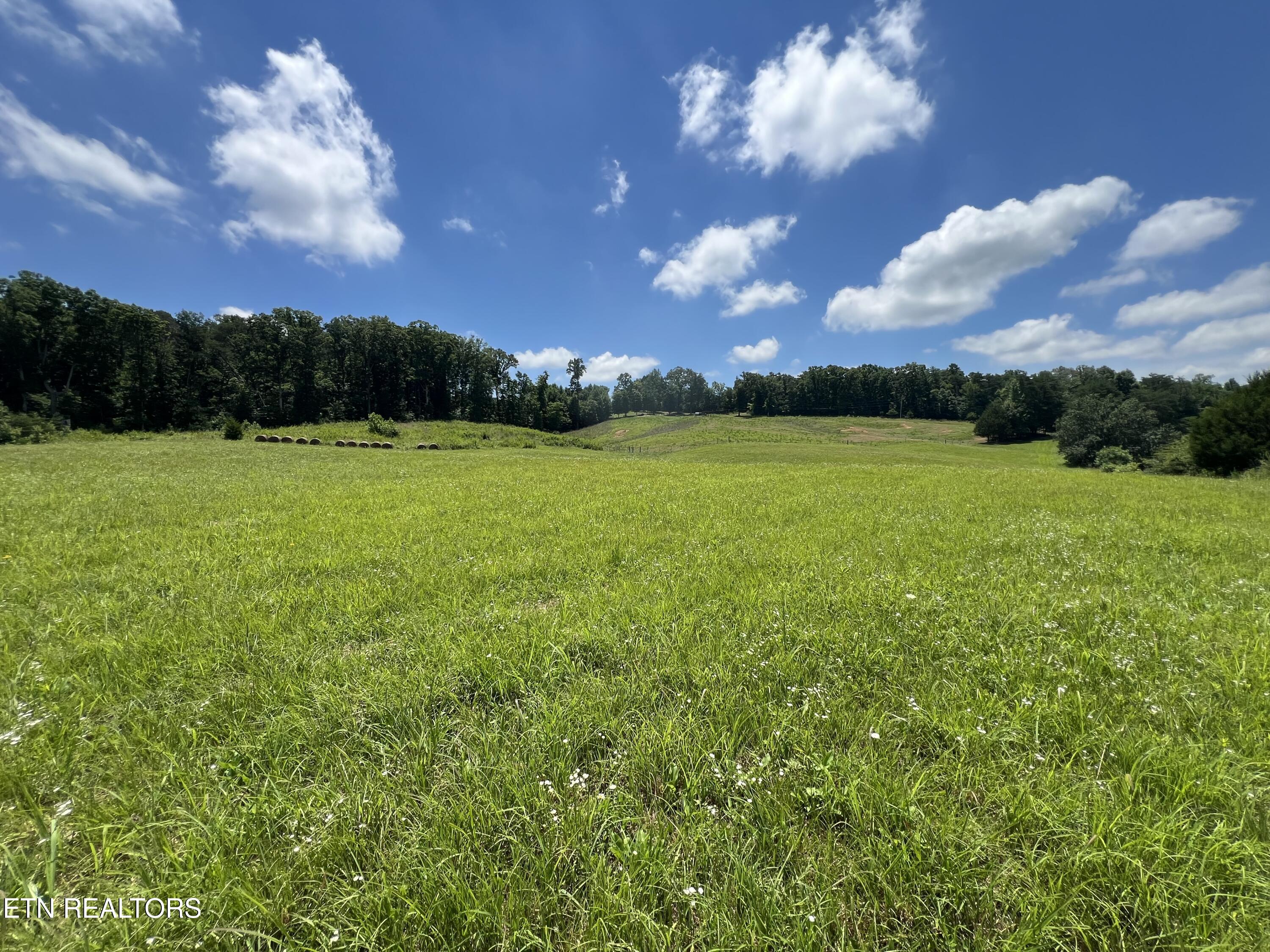 757 County Road 757 Riceville, TN 37370 - Photo 6 of 24 IMG_9167 (1)