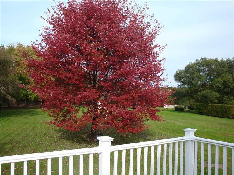 135 Sarver Road Sarver, PA 16055 - Photo 18 of 21 Other. View from the balcony off of the master suite!