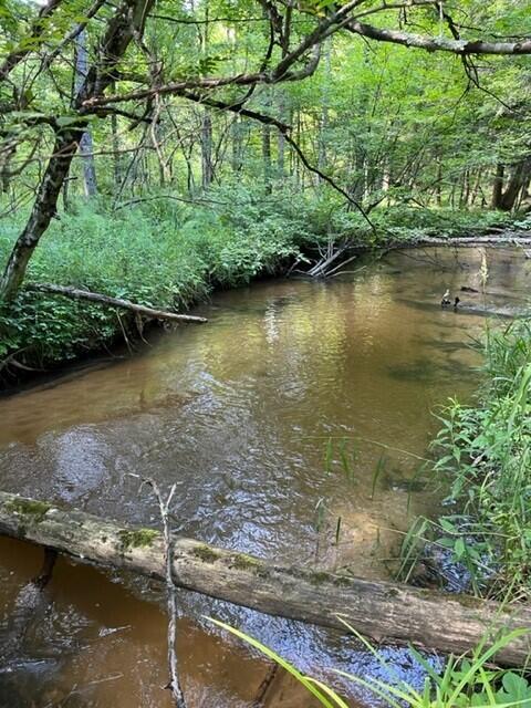 creek 2 (3)