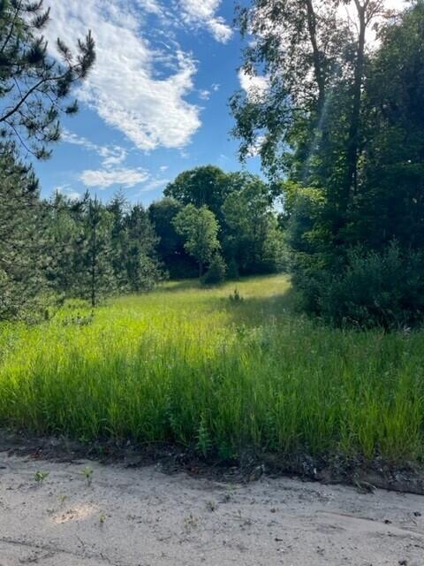 7 East 7 Mile Road Luther, MI 49656 - Photo 11 of 13 side entrance2 (1)