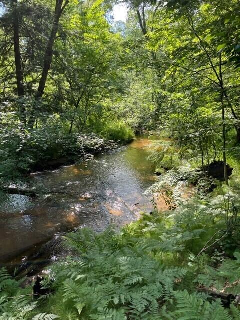 7 East 7 Mile Road Luther, MI 49656 - Photo 2 of 13 creek (1)