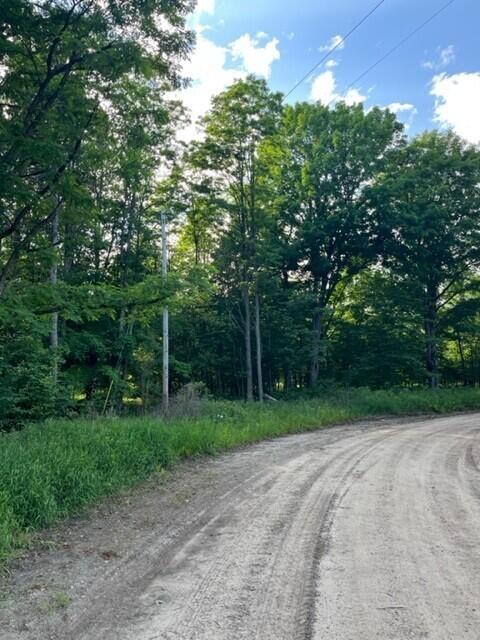 7 East 7 Mile Road Luther, MI 49656 - Photo 3 of 13 7 Mile and Hawkins corner