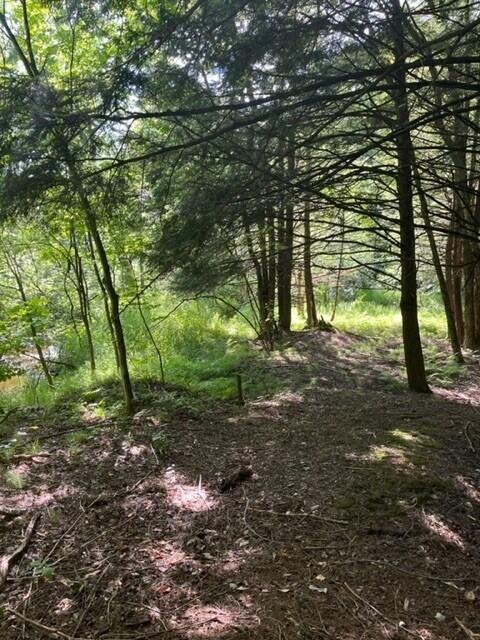 7 East 7 Mile Road Luther, MI 49656 - Photo 4 of 13 woods2