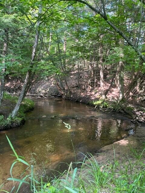7 East 7 Mile Road Luther, MI 49656 - Photo 8 of 13 creek3 (1)