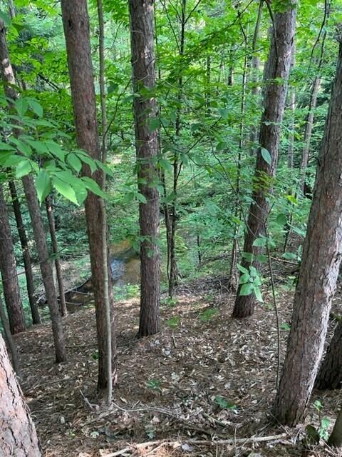 7 East 7 Mile Road Luther, MI 49656 - Photo 9 of 13 hill to creek (1)