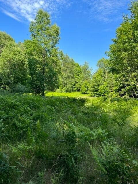 7 East 7 Mile Road Luther, MI 49656 - Photo 10 of 13 side entrance (1)