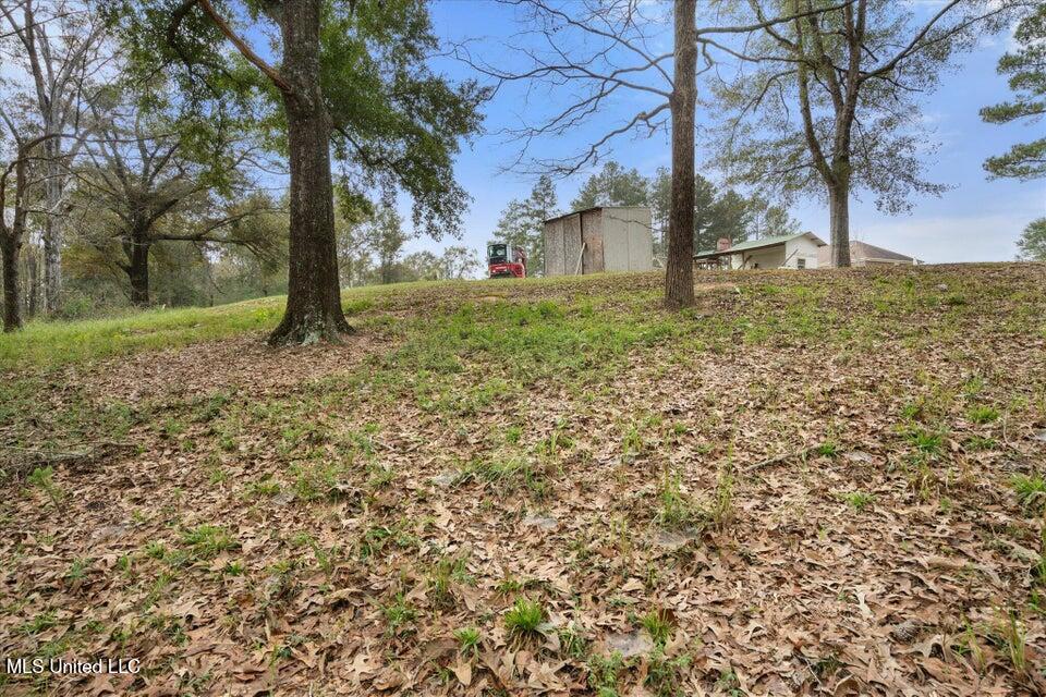 269 Geiger Road Lucedale, MS 39452 - Photo 17 of 23 20241201145140796592000000-o