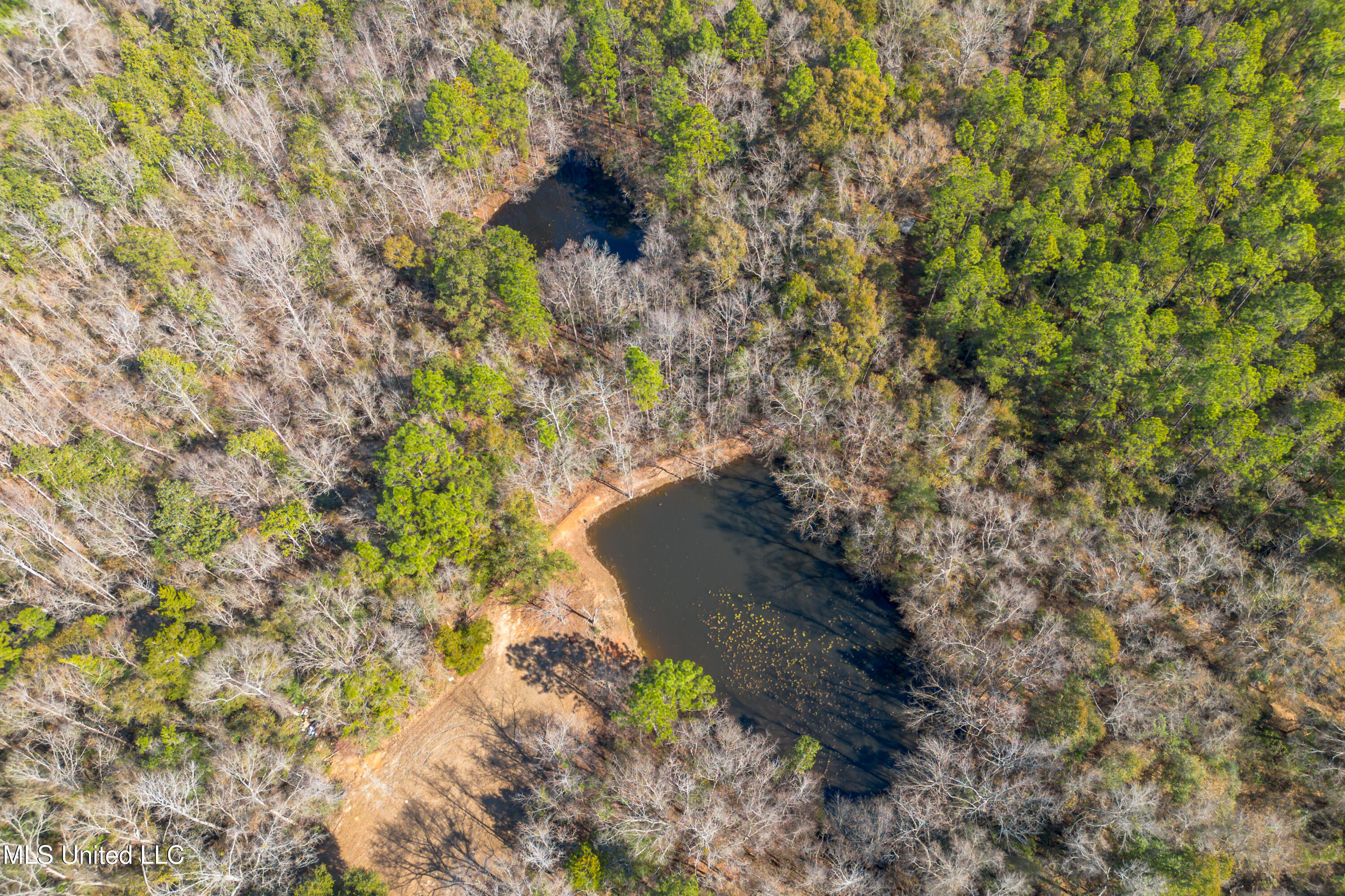 269 Geiger Road Lucedale, MS 39452 - Photo 21 of 23 269 Geiger Road-10