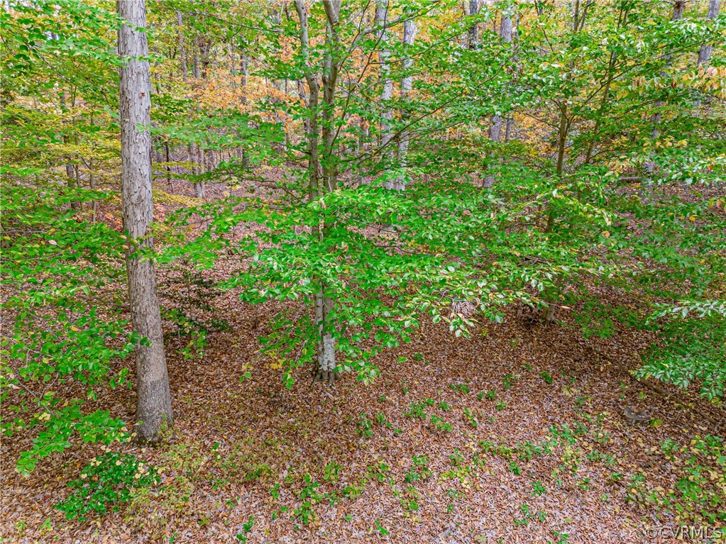 0 Dispatch Road Quinton, VA 23141 - Photo 9 of 14 Gallery Image 9