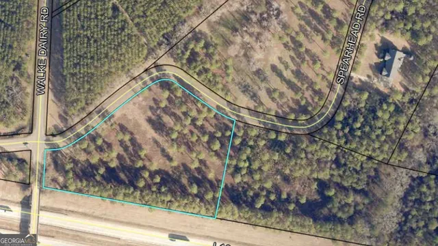 $42,500 | 0 Walke Dairy Road, Dublin, GA 31021
