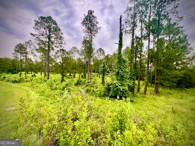 $42,500 | 0 Walke Dairy Road, Dublin, GA 31021