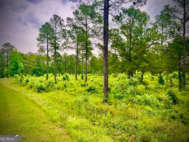 $42,500 | 0 Walke Dairy Road, Dublin, GA 31021