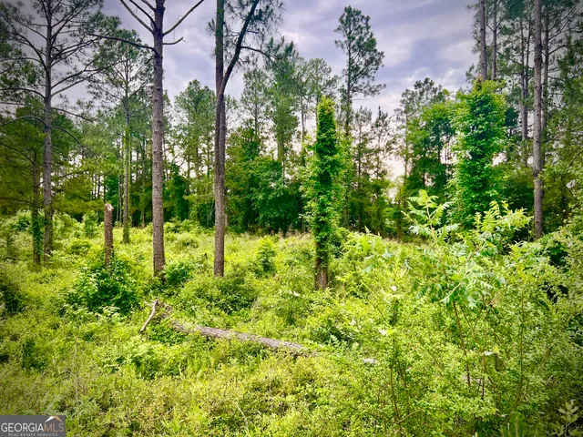 $42,500 | 0 Walke Dairy Road, Dublin, GA 31021